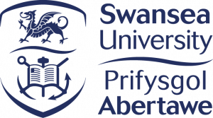 Swansea university